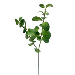 CFV194-GN: 22” MINT STEM GREEN