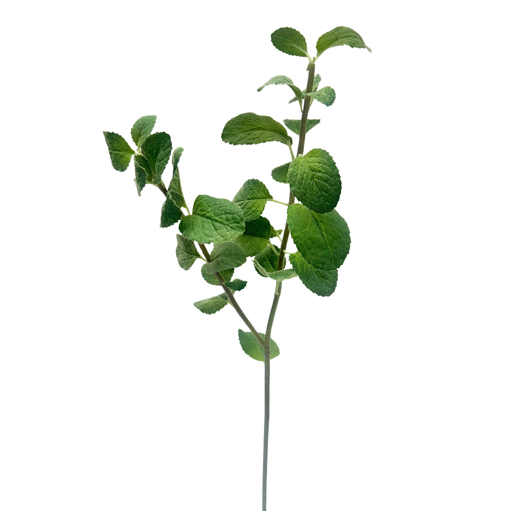 22" MINT STEM GREEN