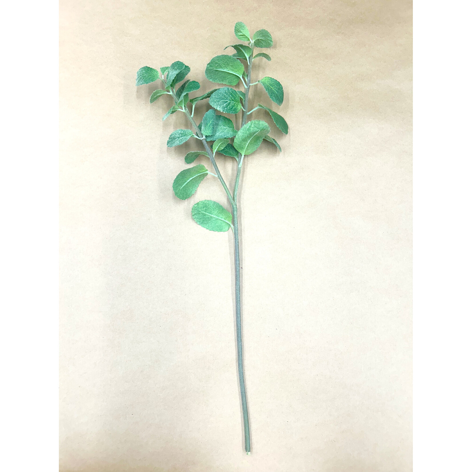 22" MINT STEM GREEN