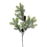 XPE246-SG: 21" MOUNTAIN NOBLE PINE SPRAY SAGE GREEN