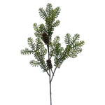 XPE246-GN: 21'' MOUNTAIN NOBLE PINE SPRAY GREEN