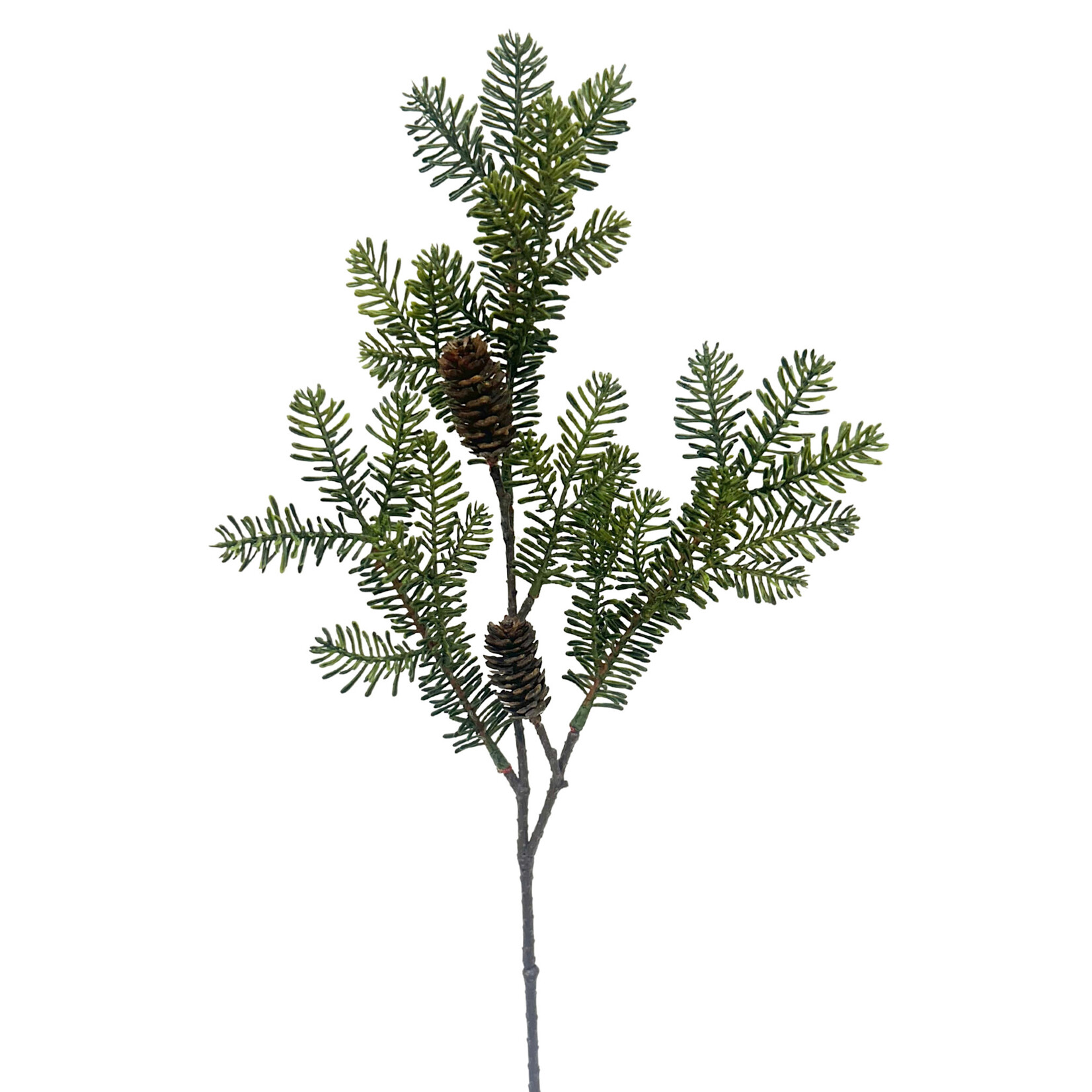 21'' MOUNTAIN NOBLE PINE SPRAY GREEN