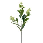 CGE014-GN: 28.5" SKIMMIA SPRAY GREEN