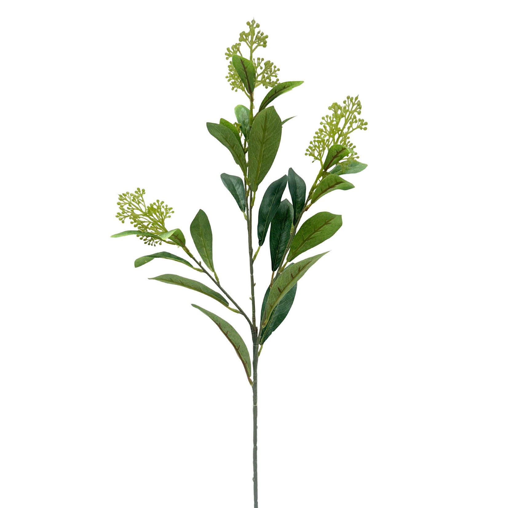 28.5" SKIMMIA SPRAY GREEN