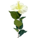 CSH504-WH: 30" HIBISCUS WHITE