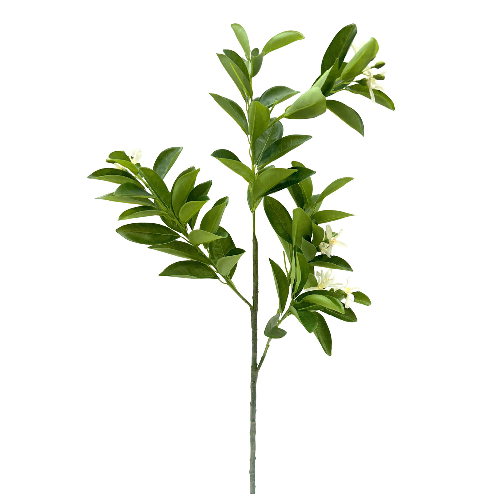 32" ORANGE BLOSSOM BRANCH GREEN WHITE