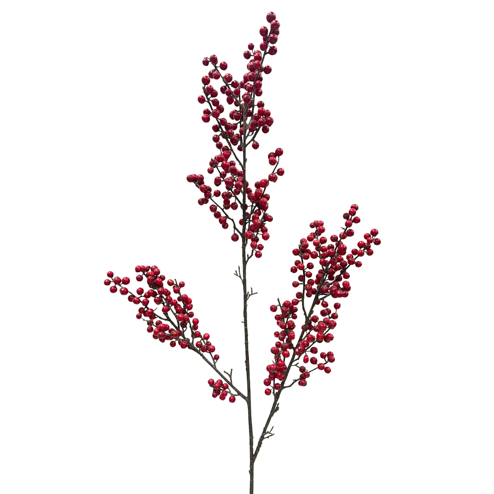 48" BERRY BRANCH RED