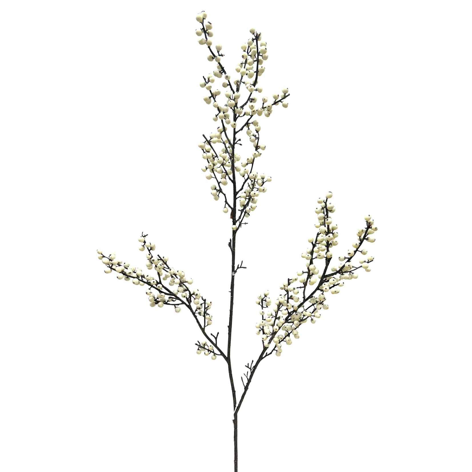 48" BERRY BRANCH CREAM