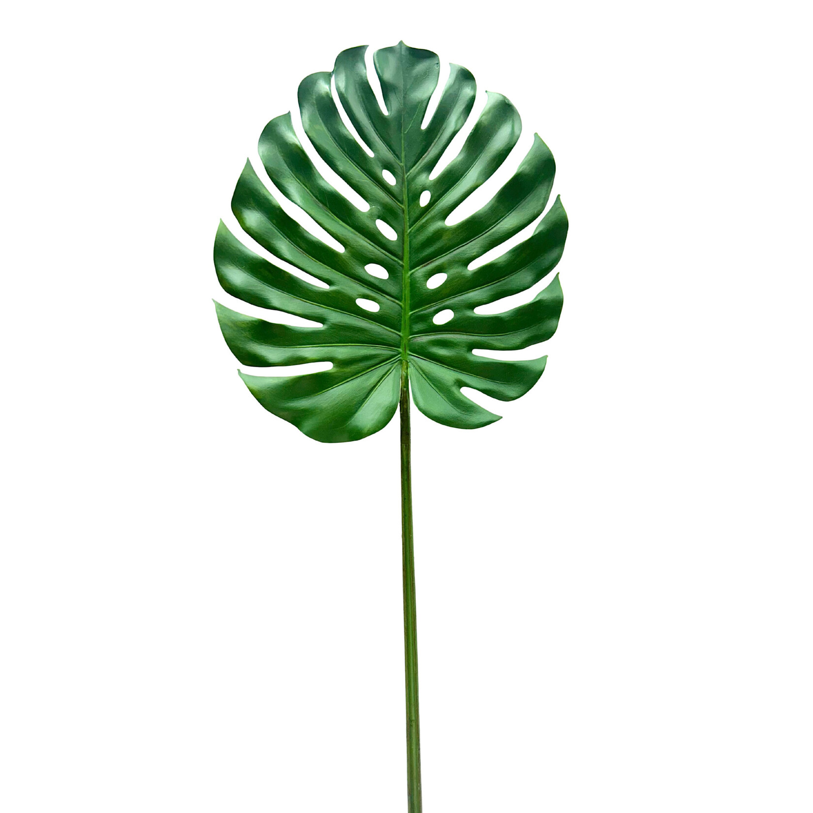 45" MONSTERA LEAF GREEN