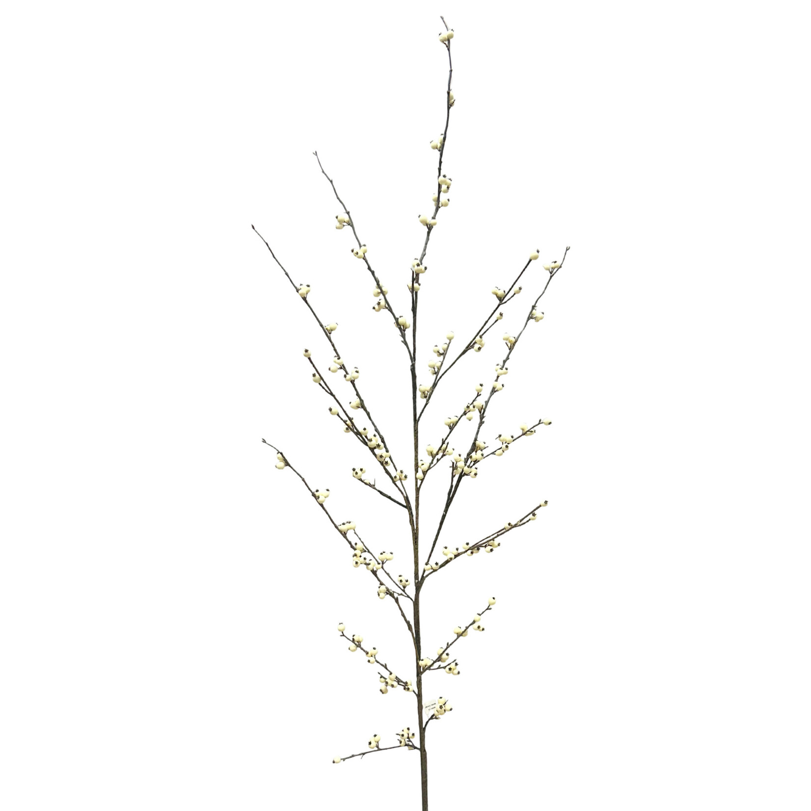 62" WILD ILEX BERRY SPRAY WHITE