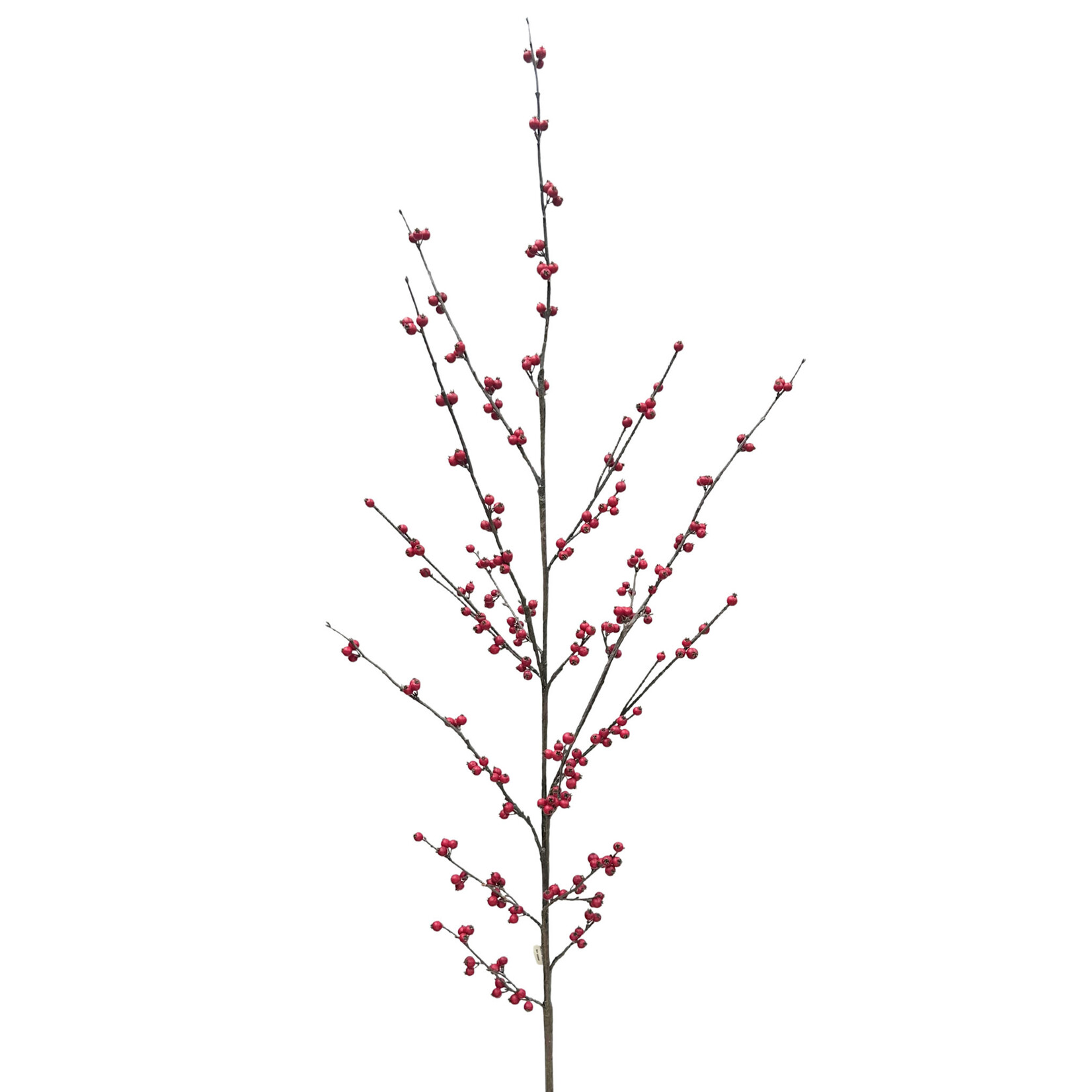 62" WILD ILEX BERRY SPRAY RED