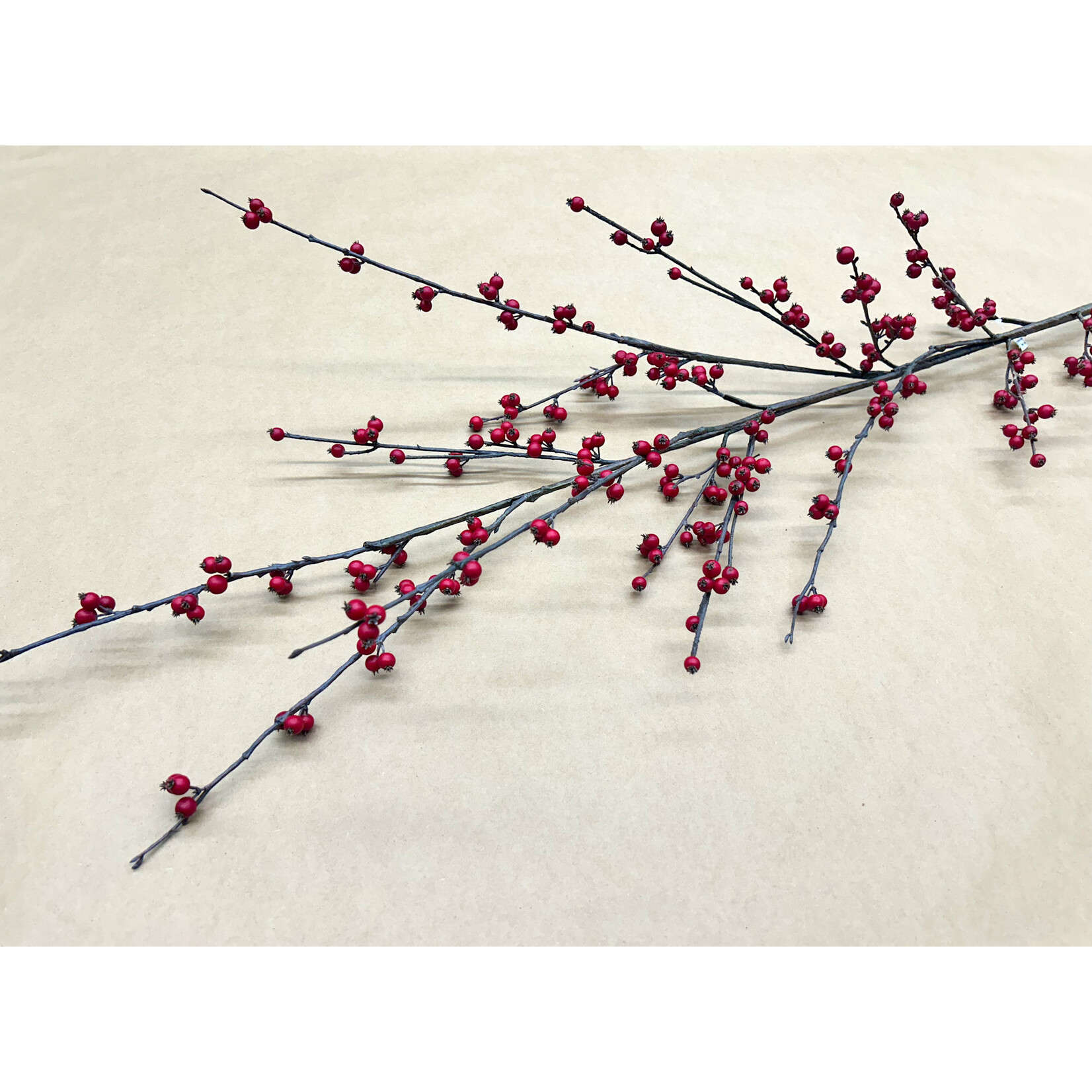 62" WILD ILEX BERRY SPRAY RED