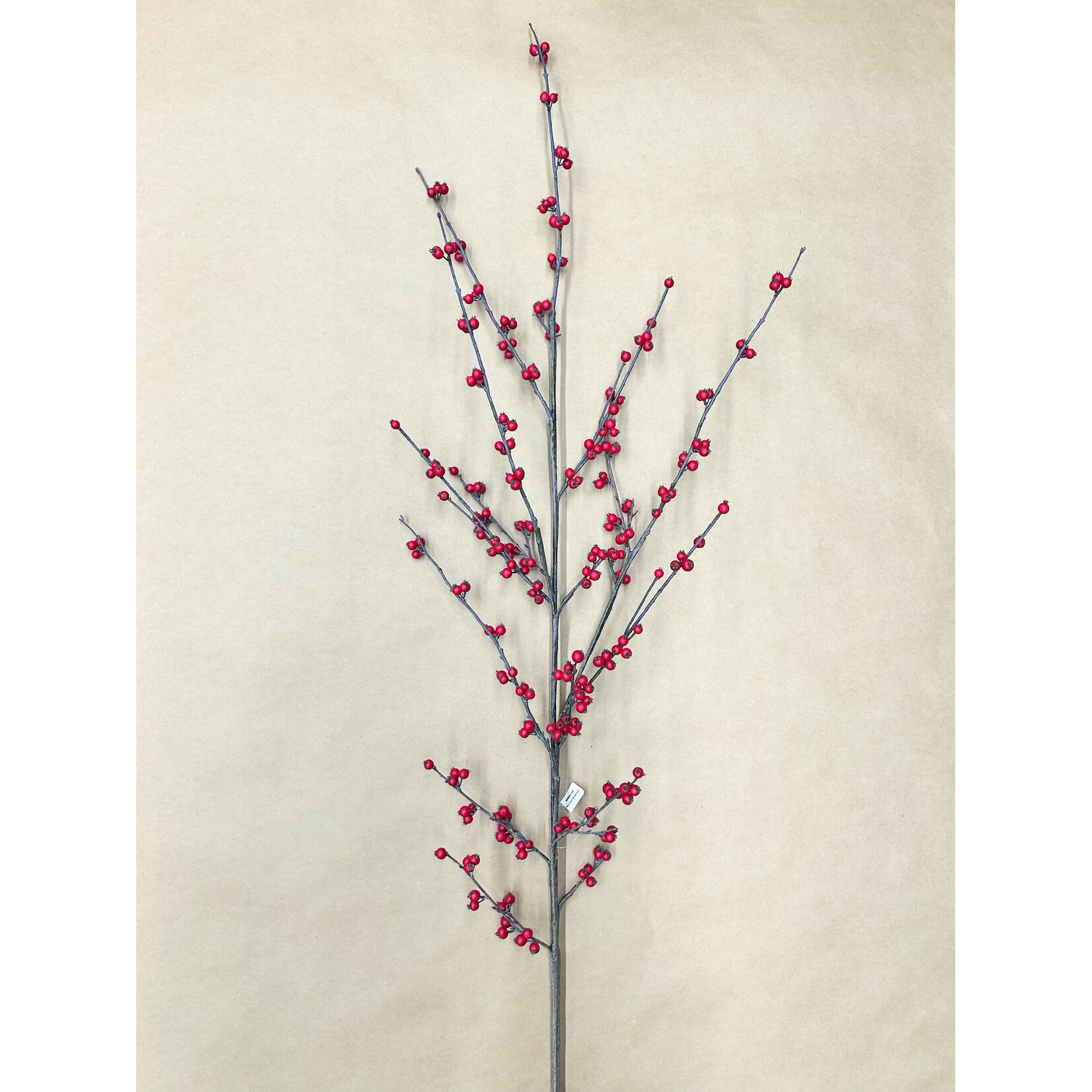 62" WILD ILEX BERRY SPRAY RED