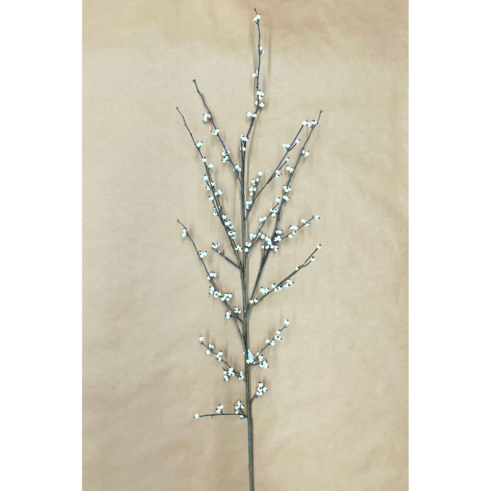 62" WILD ILEX BERRY SPRAY WHITE