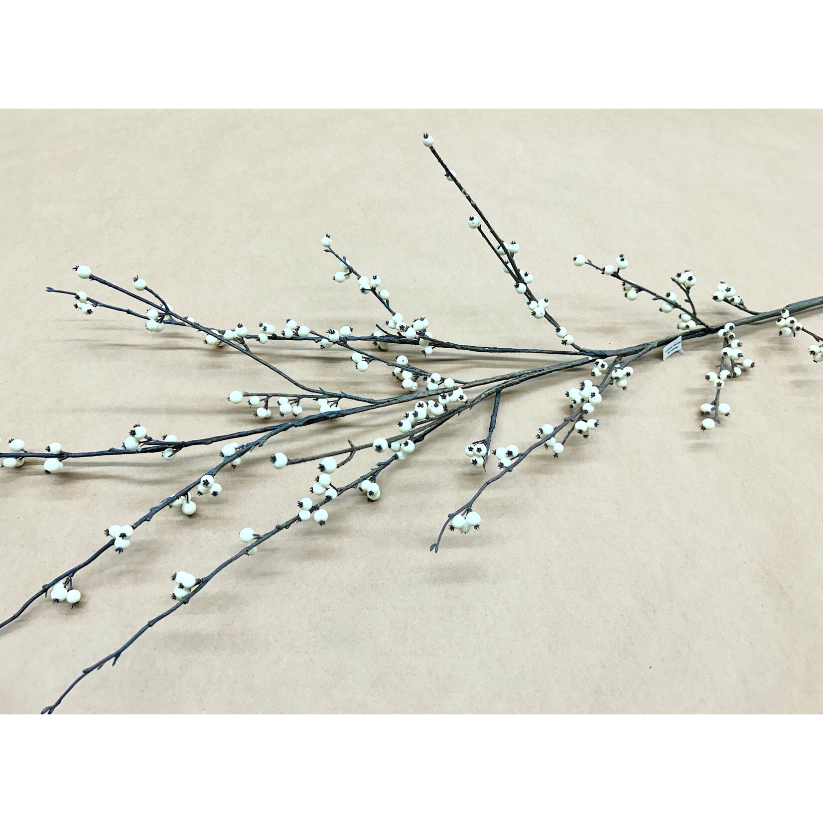 62" WILD ILEX BERRY SPRAY WHITE