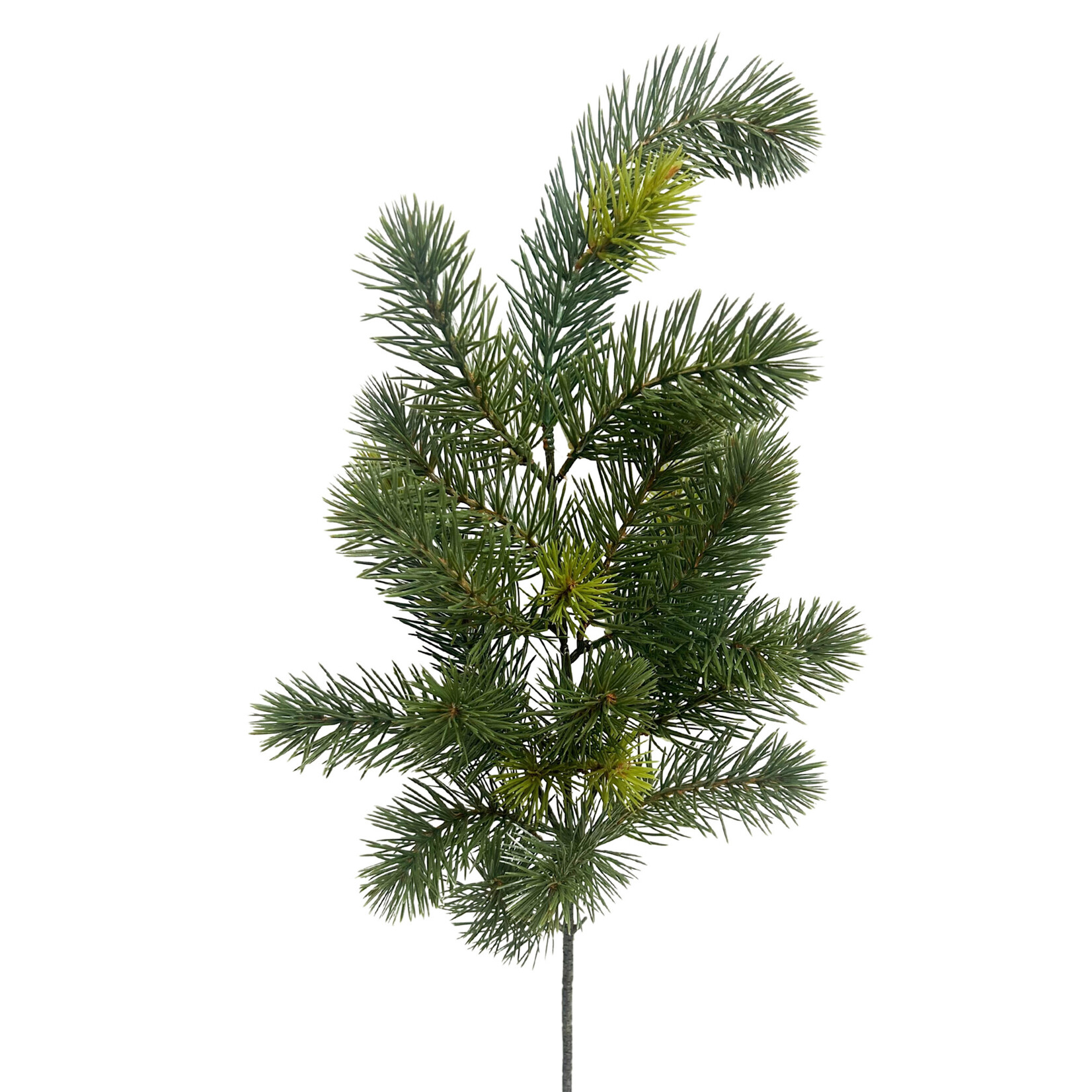 30" PINE SPRAY GREEN