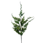 XPE764-GN: 38” CYPRUS SPRAY GREEN