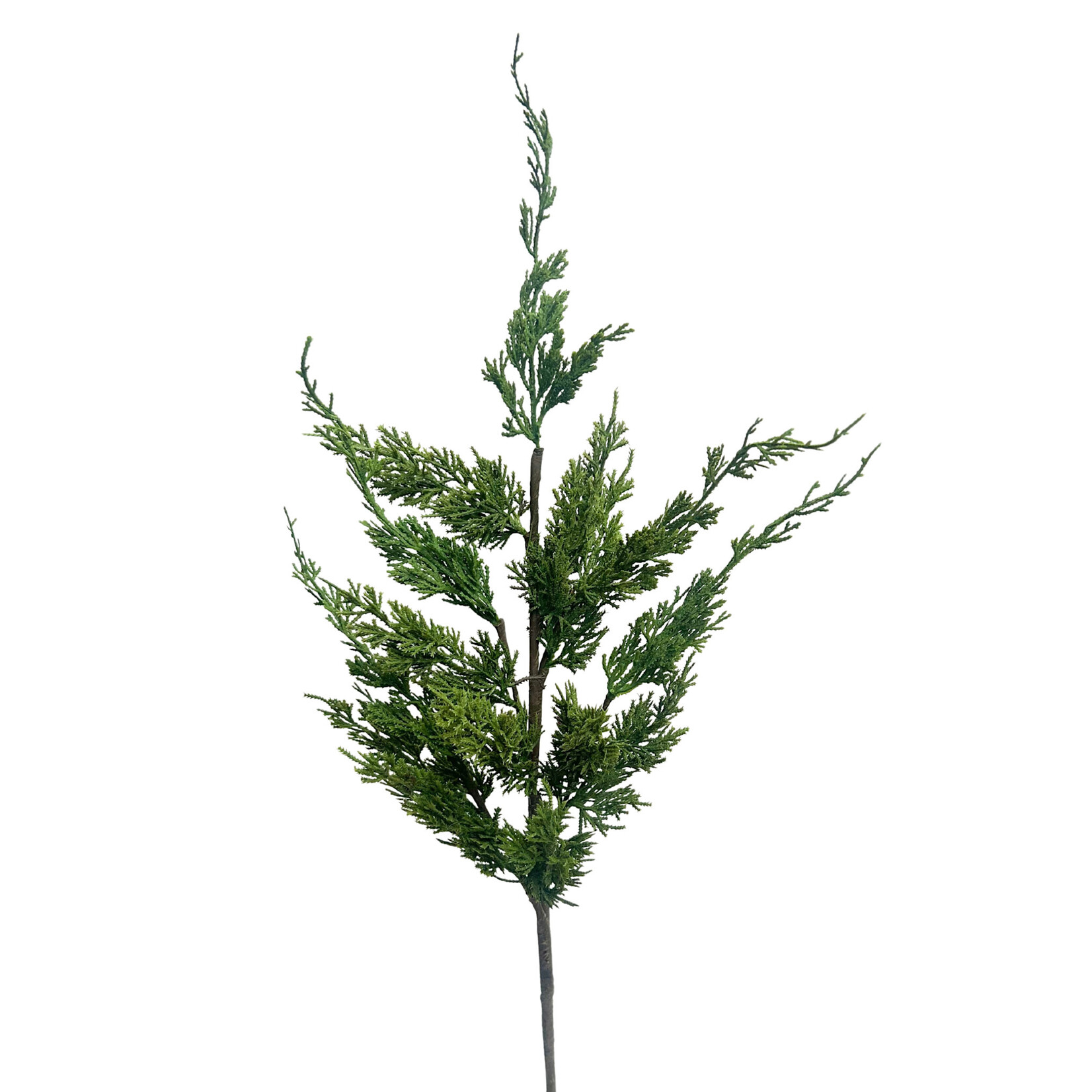 38" CYPRUS SPRAY GREEN