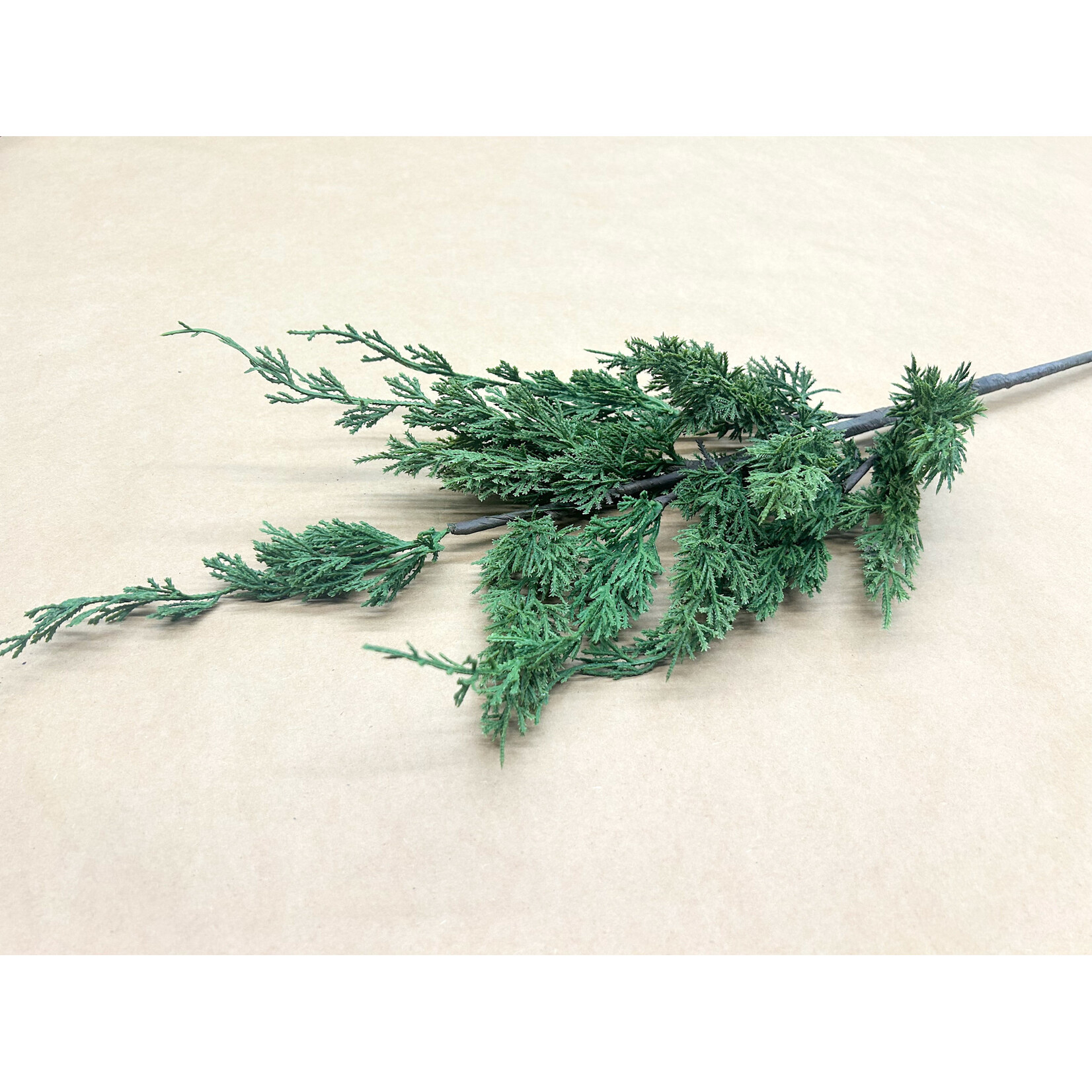 38" CYPRUS SPRAY GREEN