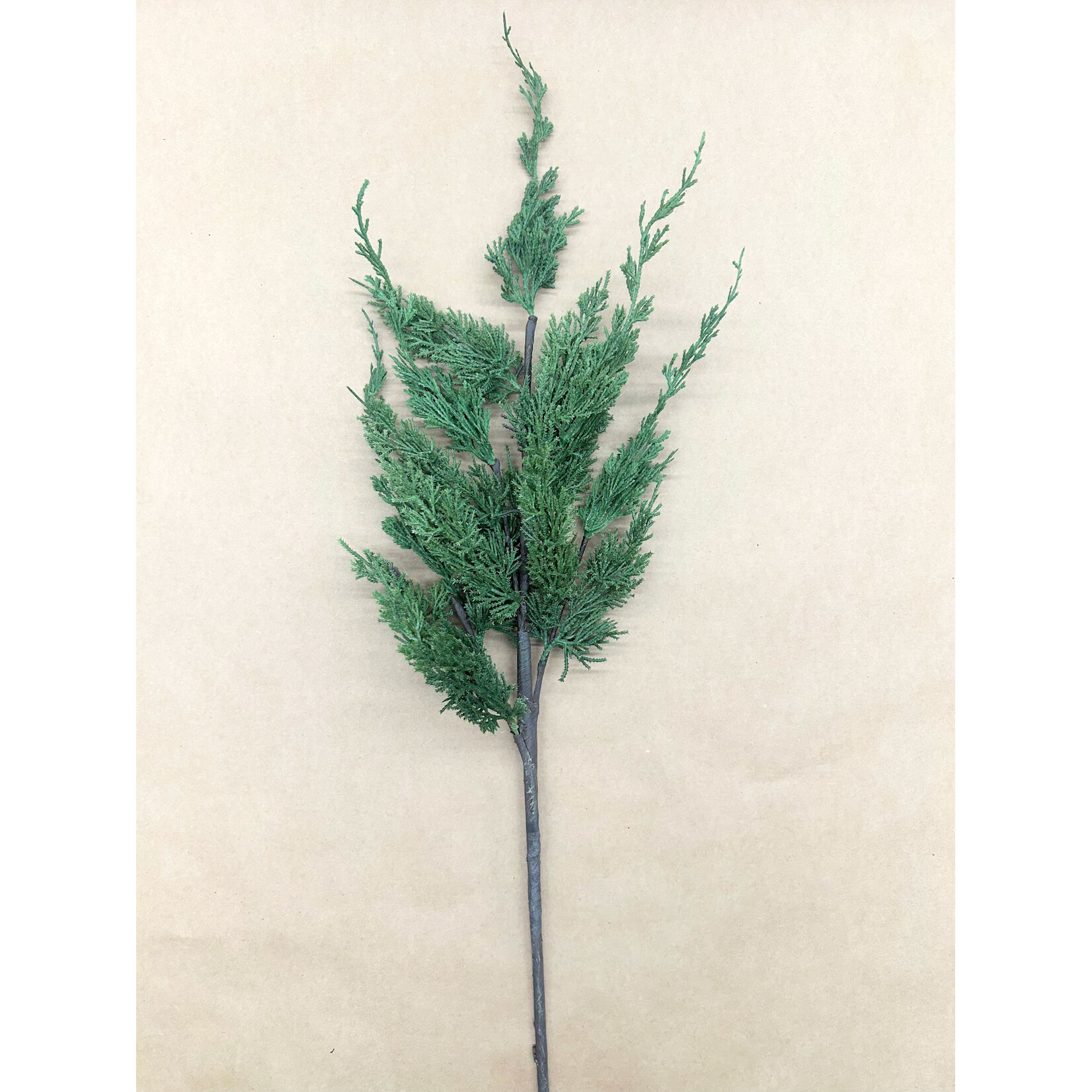 38" CYPRUS SPRAY GREEN