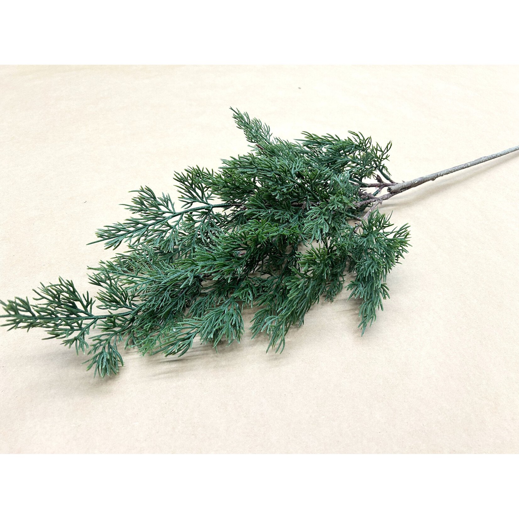 34" CEDAR SPRAY GREEN