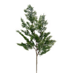 XPE433-GN: 34” CEDAR SPRAY GREEN