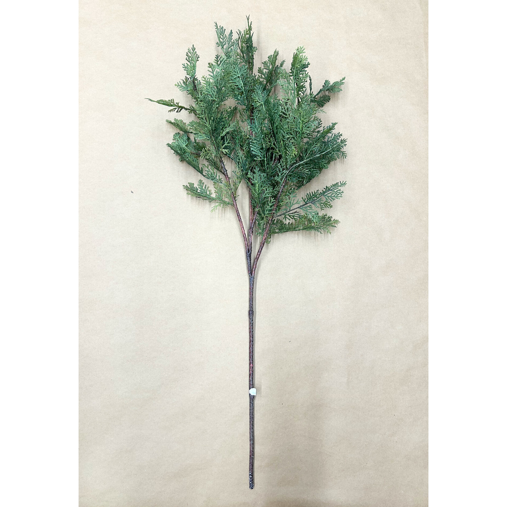 37" CEDAR BRANCH GREEN
