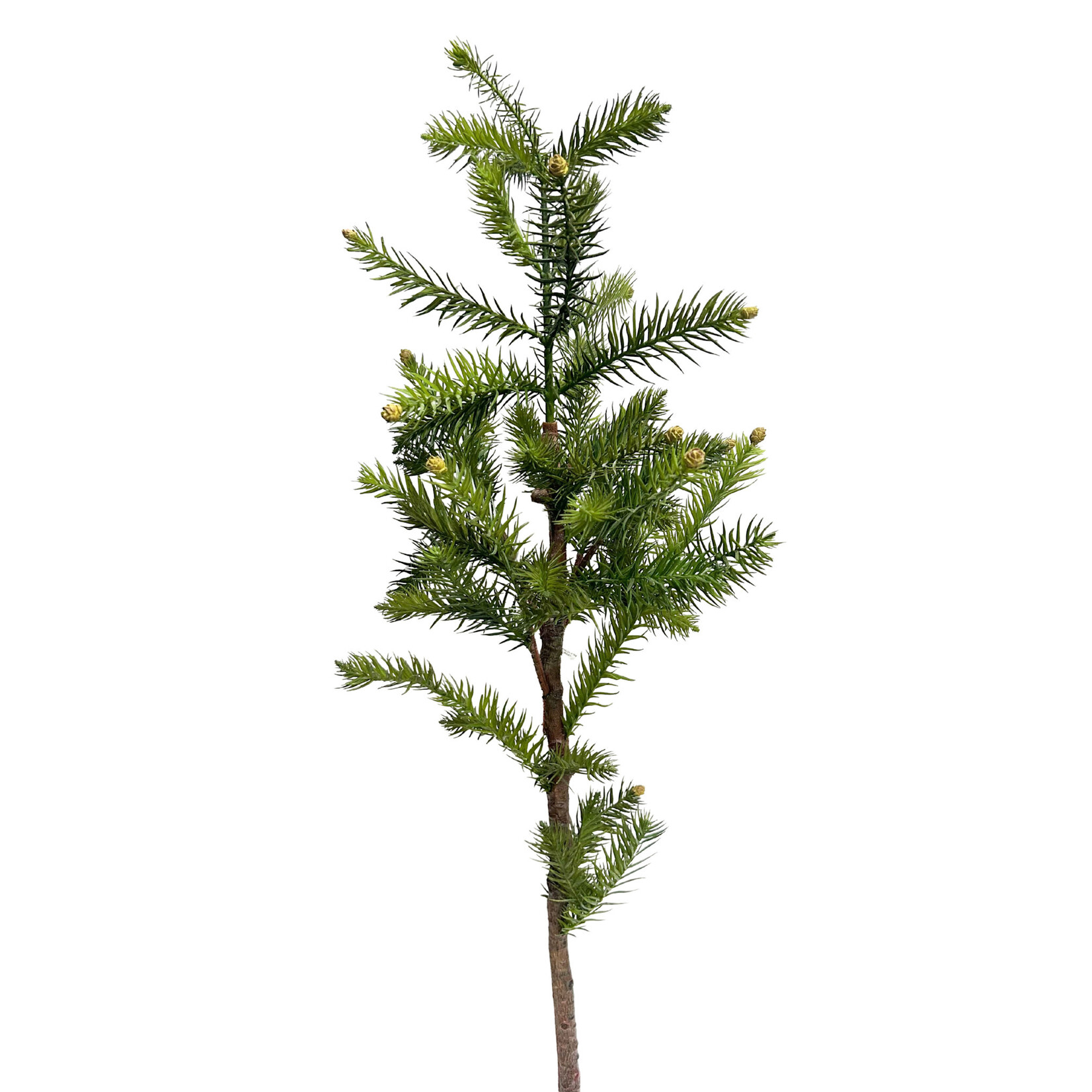 41" PINE TREE BRANCH GREEN