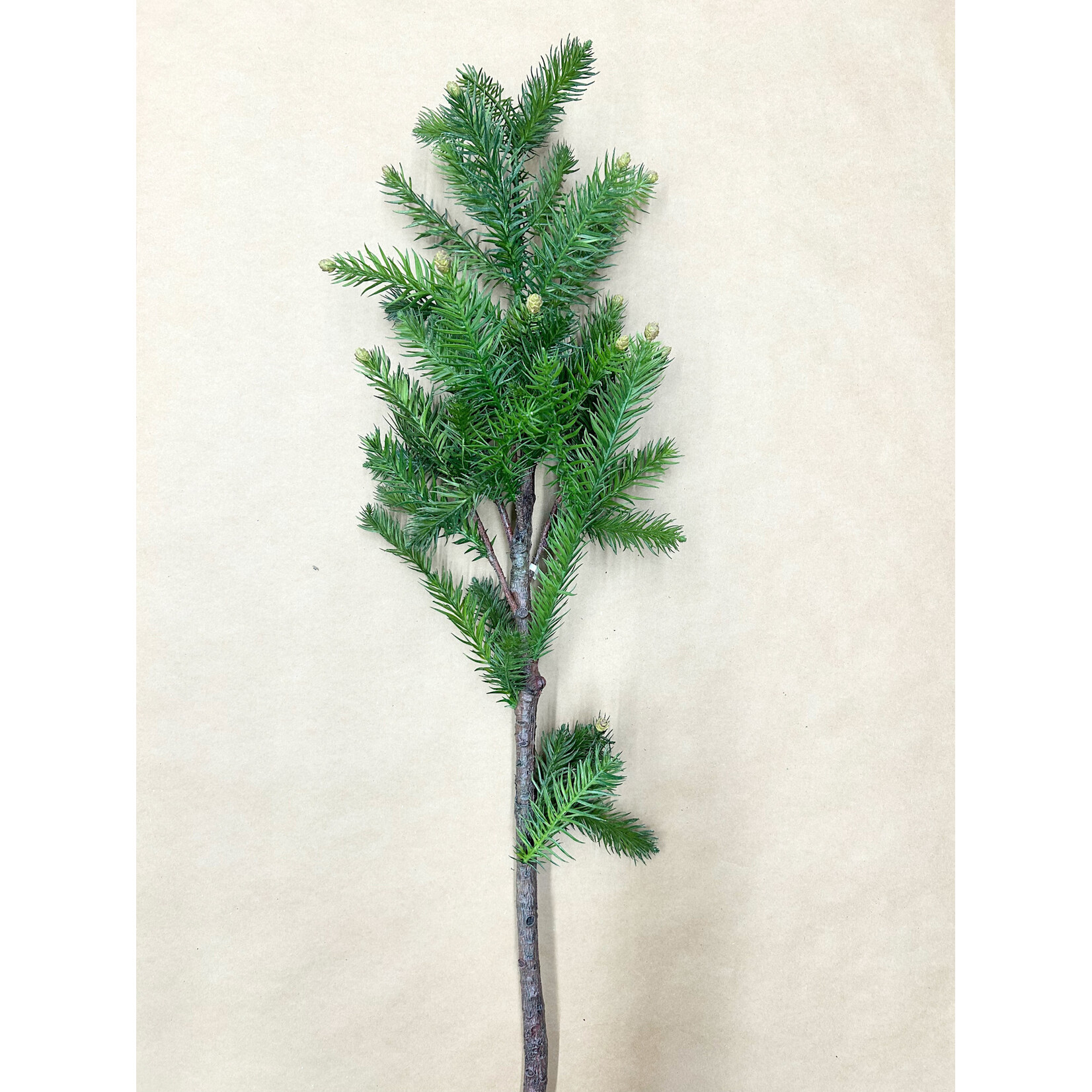 41" PINE TREE BRANCH GREEN