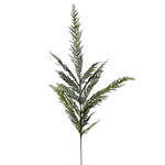 XPE049-GN: 40” CEDAR SPRAY GREEN