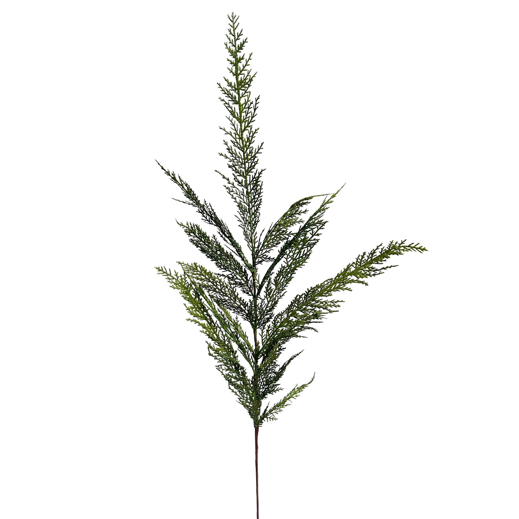 40" CEDAR SPRAY GREEN