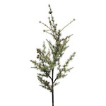 XPE78A-GN: 48" ATLAS CEDAR BRANCH GREEN