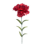 CSC648-RE: 25" CARNATION SPRAY RED