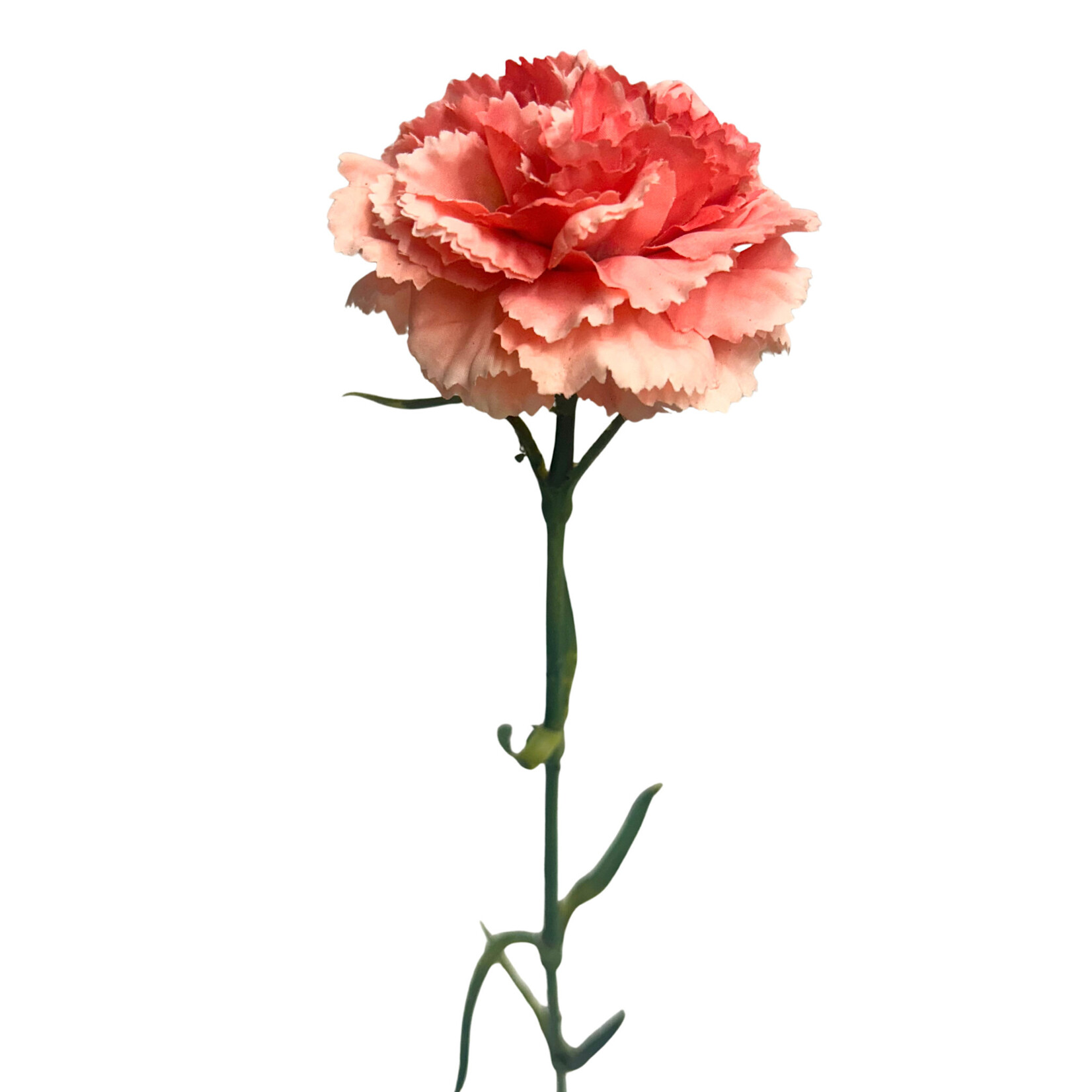 21.5" CARNATION SPRAY CORAL