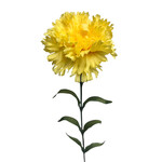 CSC648-YE: 25" CARNATION SPRAY YELLOW