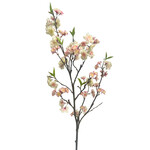 CSB401-CR/PK: 48” CHERRY BLOSSOM CREAM PINK