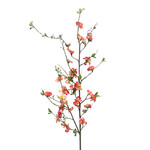 CSB801-PK: 48" BLOSSOM STEM PINK