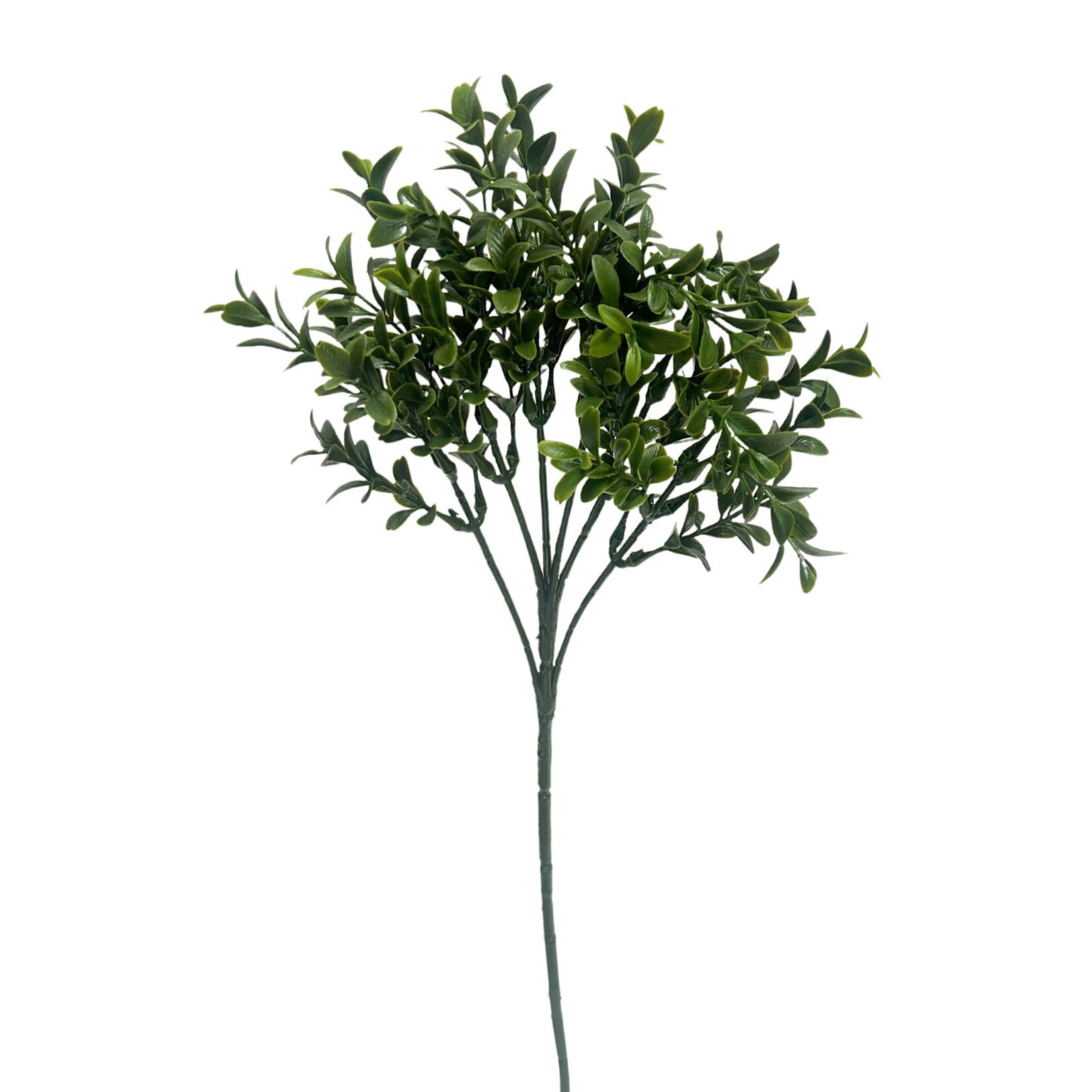 18.5" BOXWOOD SPRAY GREEN