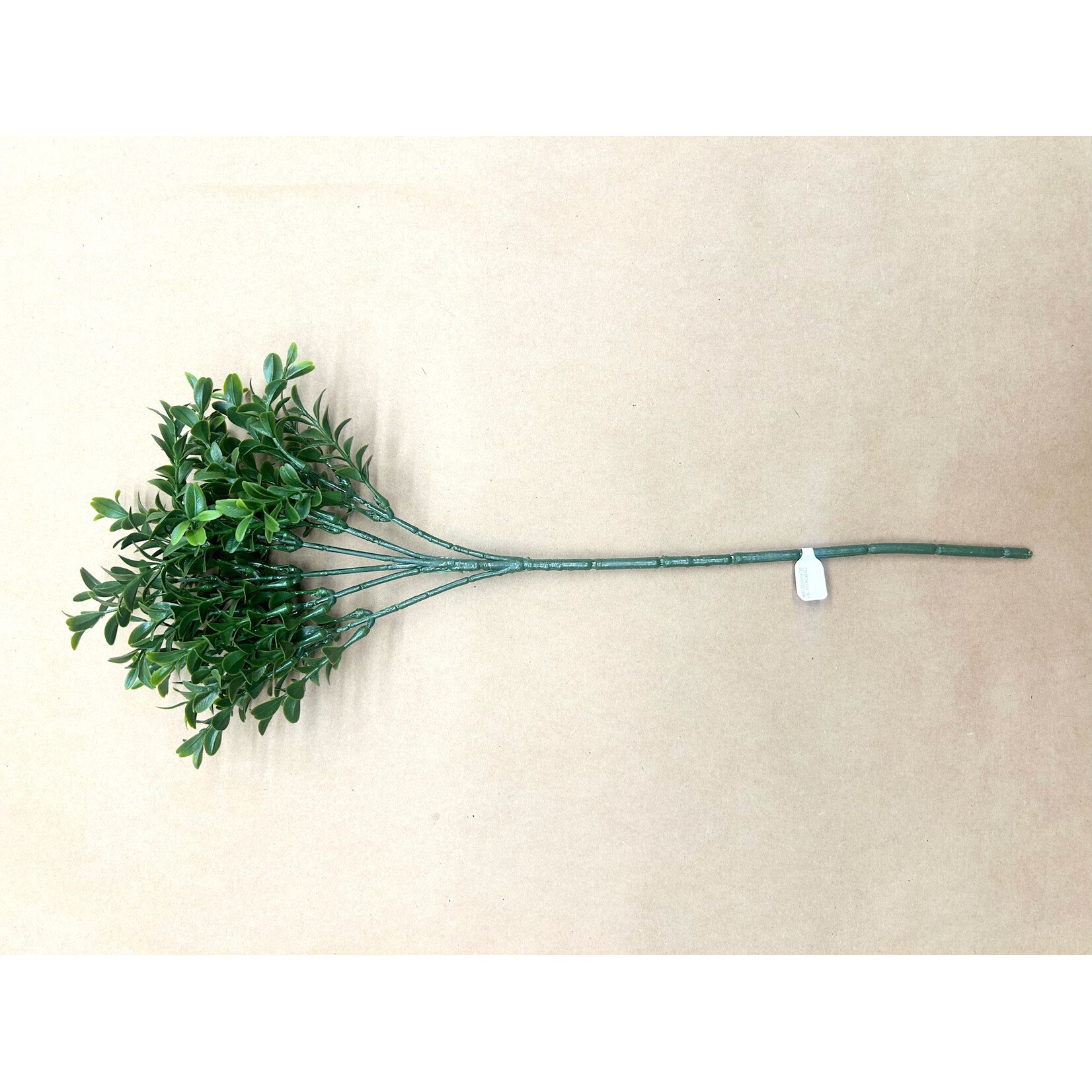 18.5" BOXWOOD SPRAY GREEN