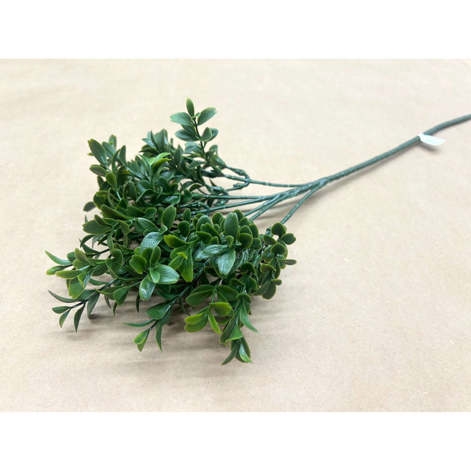 18.5" BOXWOOD SPRAY GREEN