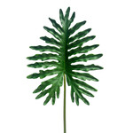 CGE234-GN: 46” SELLOUM GREEN