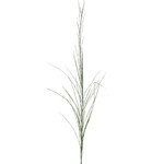 CGE082-GN: 52'' SCOTCH BROOM GREEN