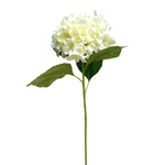 CSH133-IV: 31.5" HYDRANGEA SPRAY IVORY