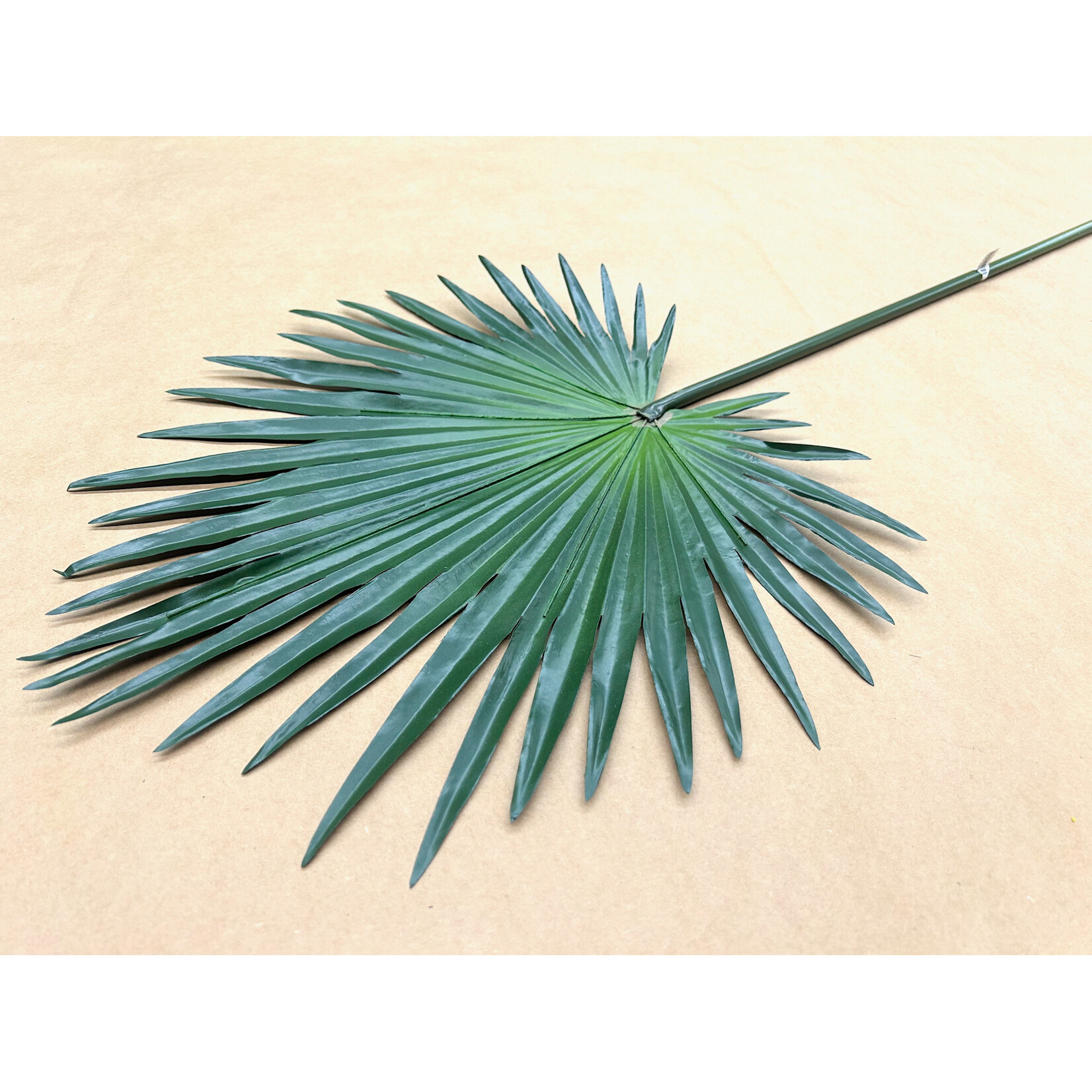 30" FAN PALM SPRAY GREEN