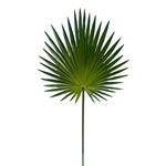 CGE216-GN: 30" FAN PALM SPRAY GREEN