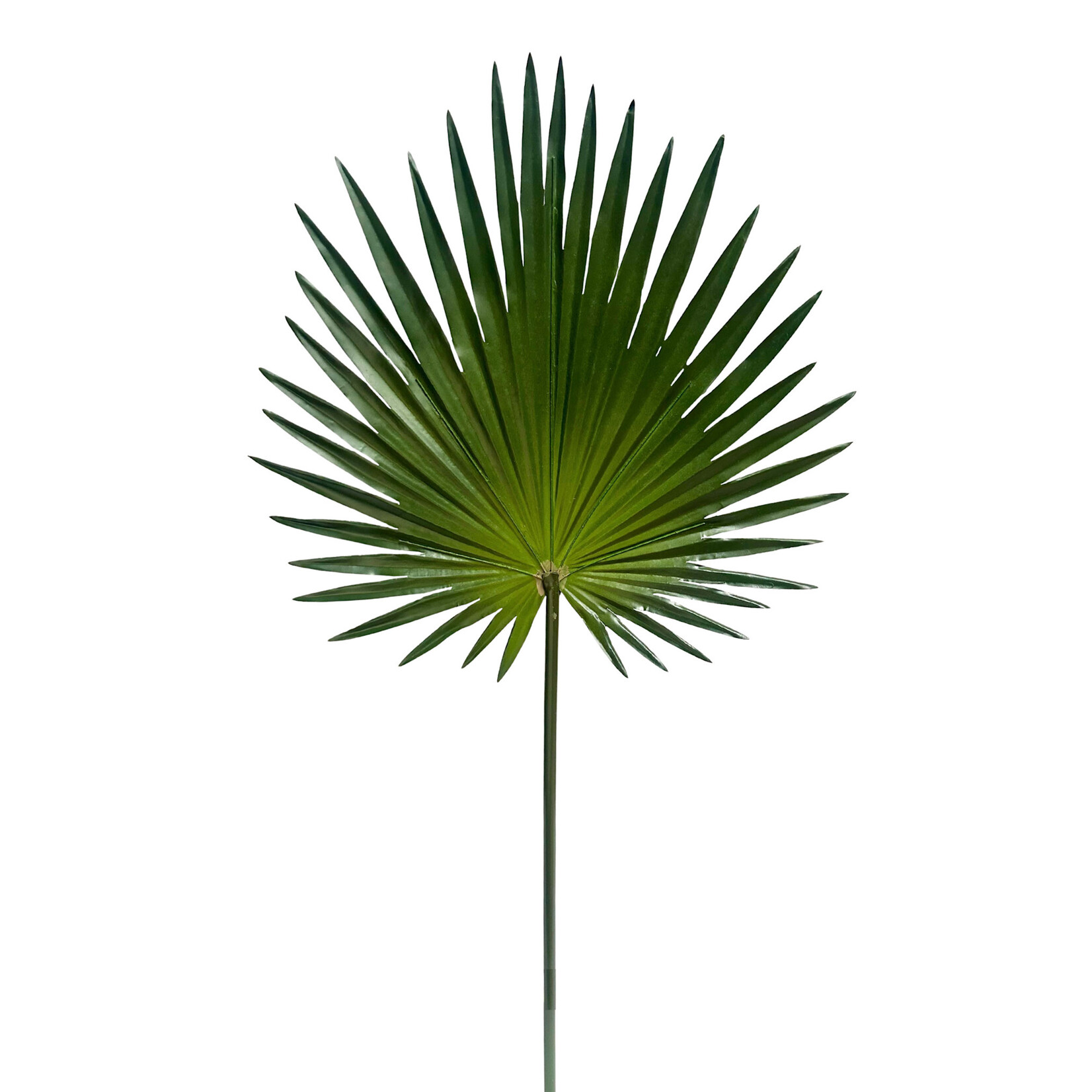30" FAN PALM SPRAY GREEN