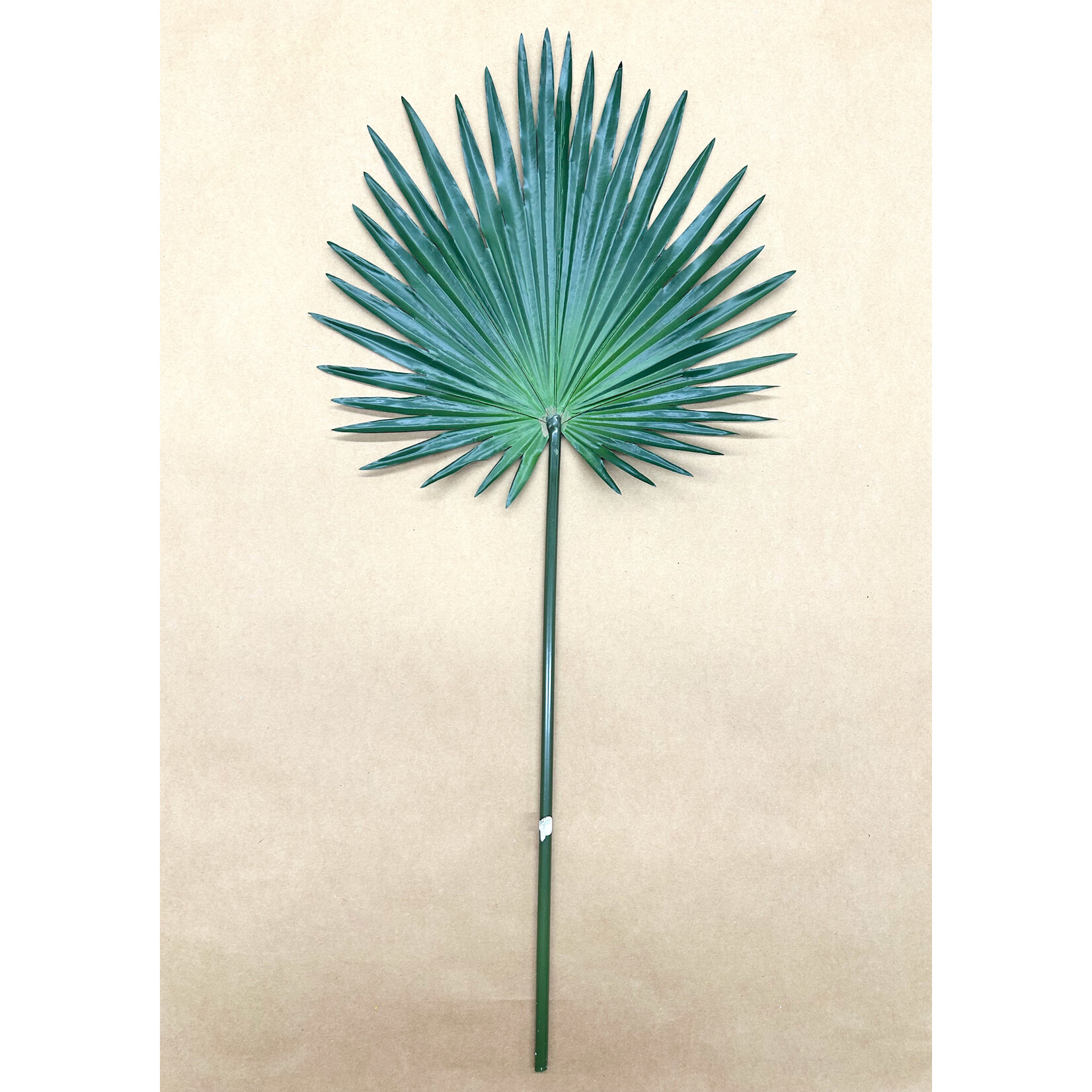 30" FAN PALM SPRAY GREEN