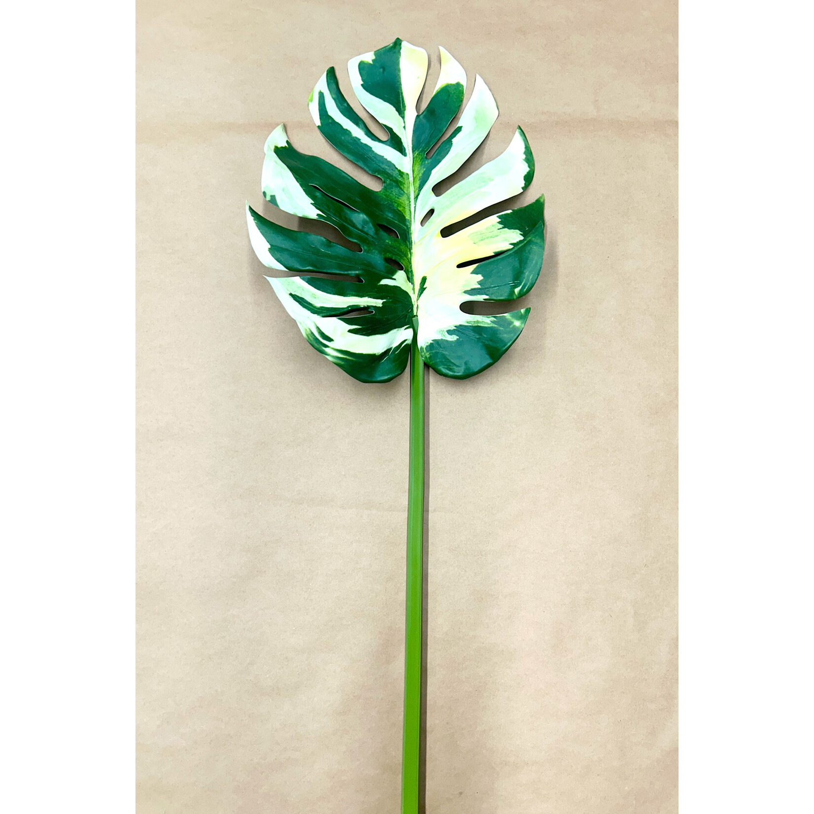 44" MONSTERA LEAF SPRAY GREEN CREAM