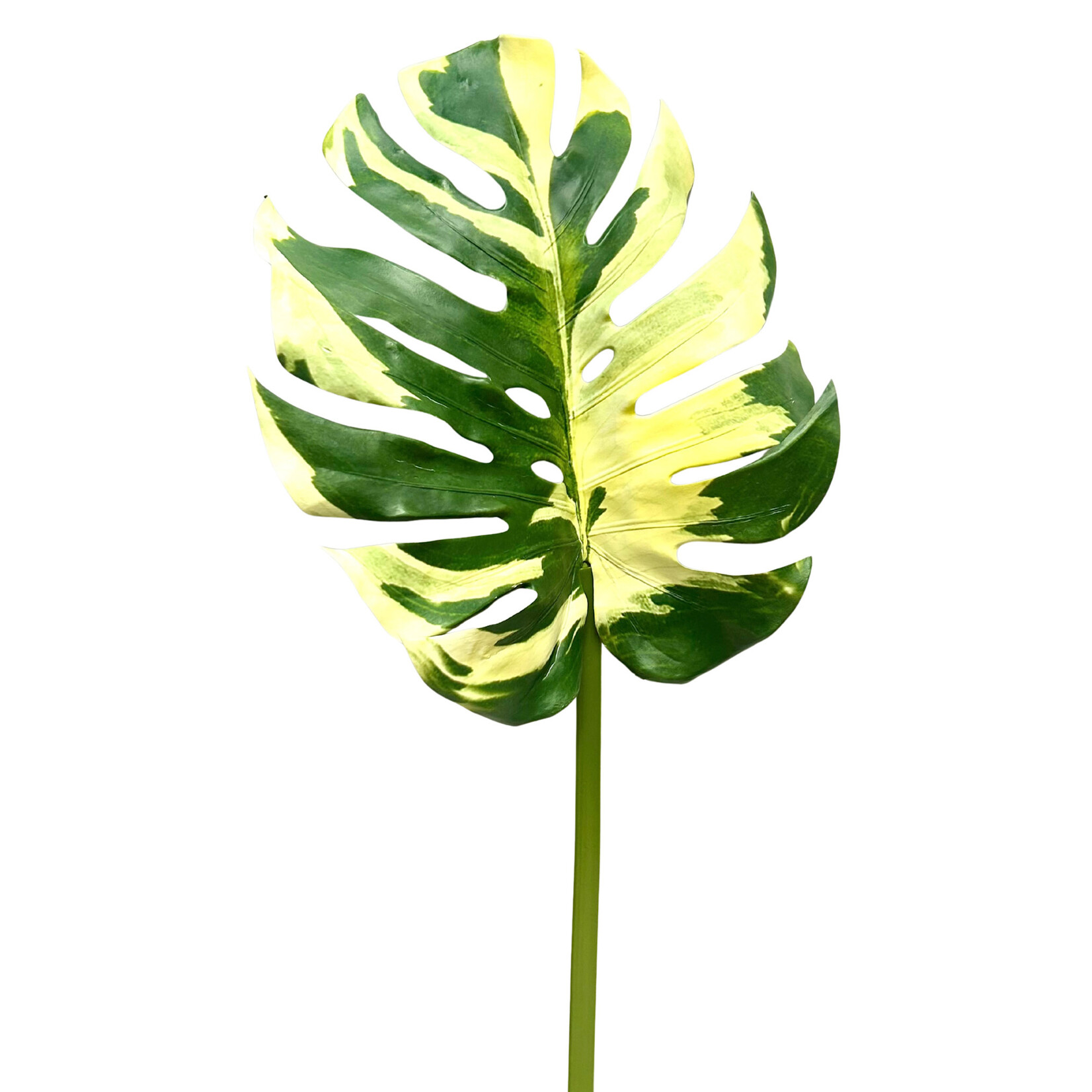 44" MONSTERA LEAF SPRAY GREEN CREAM