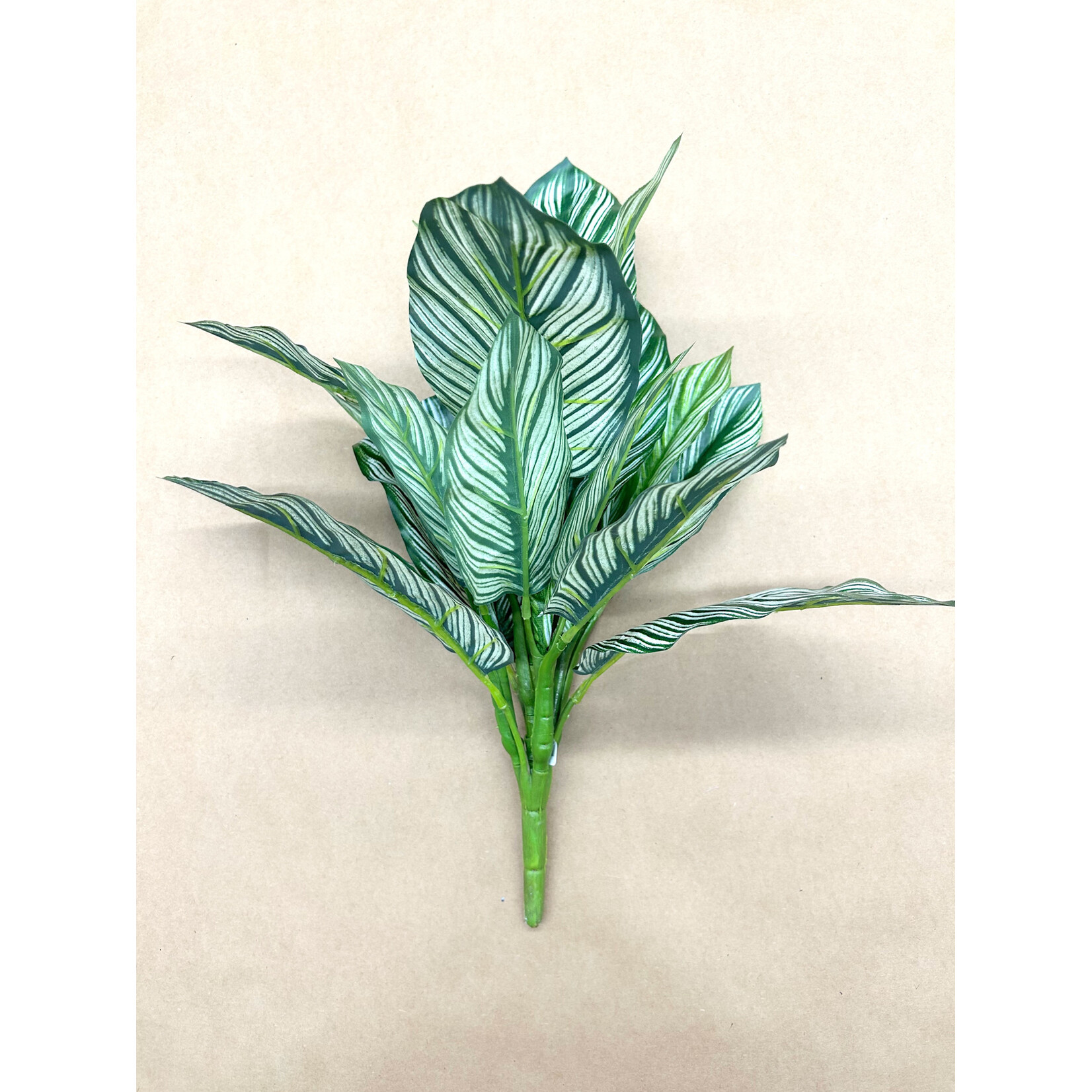 16" NATURAL TOUCH ZEBRA PLANT BUSH GREEN VARIEGATED